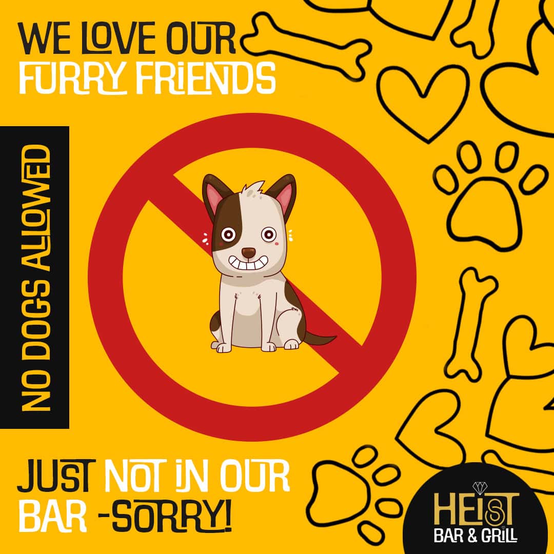 No Dogs Allowed 2
